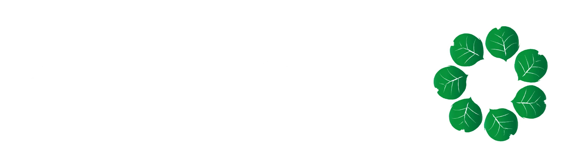 うぇｂｐせんたく